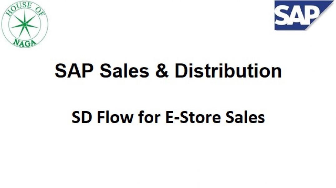 ⁣SD Flow for E-Store sales