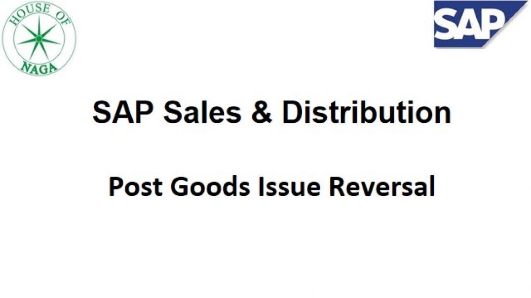 ⁣Post Goods Issue Reversal