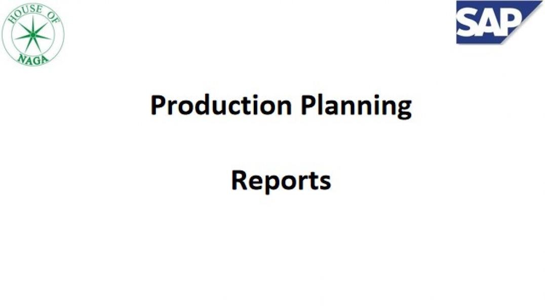 8.SAP PP Reports