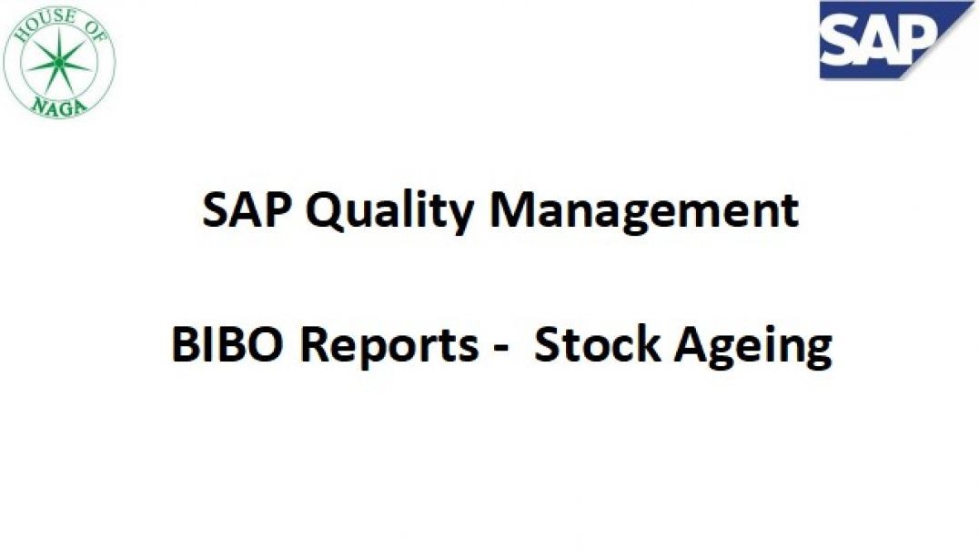 BIBO Reports_stock ageing