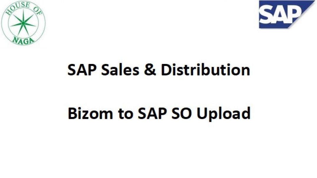 ⁣Bizom to SAP SO Upload
