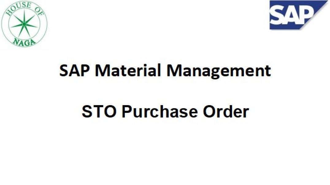 ⁣STO Purchase Order