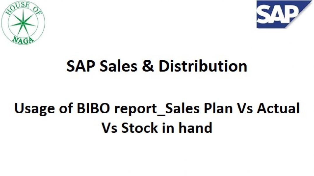 ⁣Usage of BIBO report_Sales Plan Vs Actual Vs Stock in hand