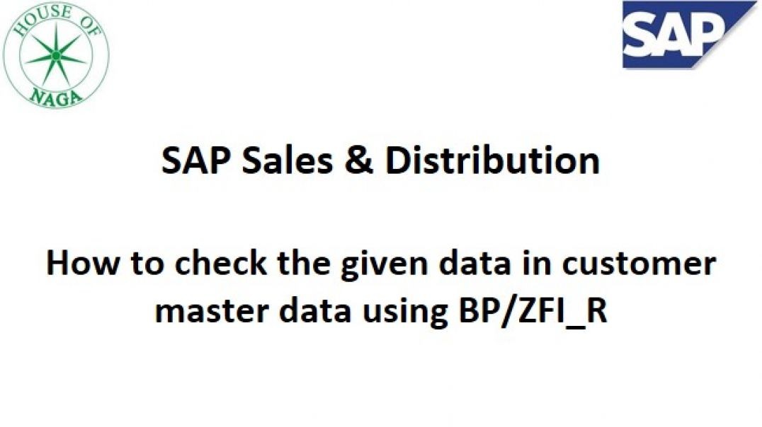 ⁣How to check the given data in customer master data using BP_ZFI_R