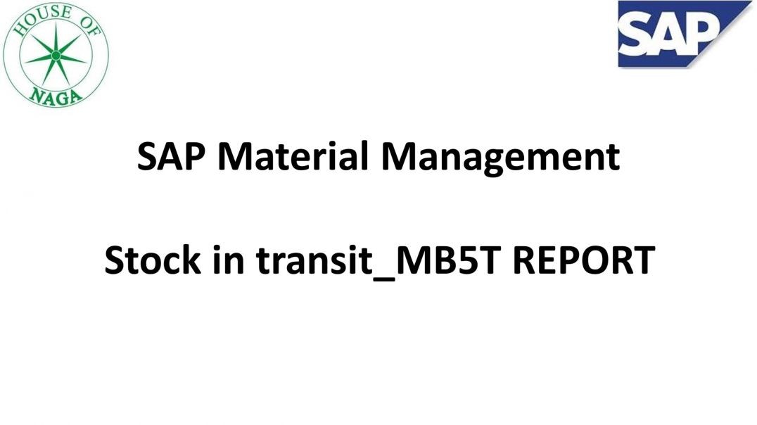 ⁣Stock in transit_MB5T report