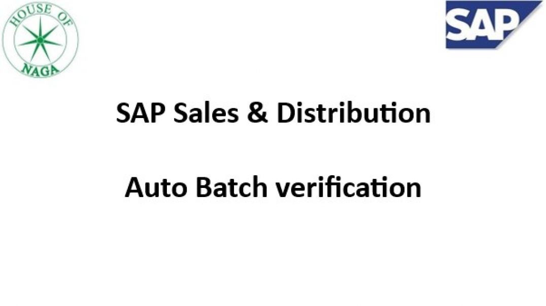 Auto Batch Verification